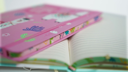 Imagen 3 de 3 de Cuaderno Tapa Dura Libreta Anotador Elastico Llama