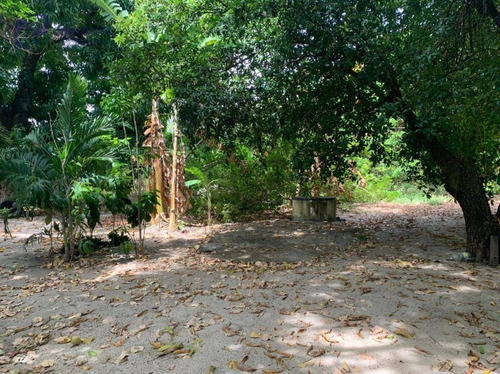 Terreno À Venda, 5200 M² Por R$ 1.700.000,00 - Lagoa Redonda - Fortaleza/ce - Te0475