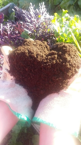 Imagen 2 de 3 de Compost Bioterra A Granel Puro X 20l
