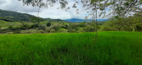 Se Vende Finca Ganadera Entre Barragan - Río Verde.