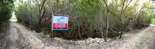 Imagen 15 de 30 de Terreno Con Playa, Bahia Petempich, Pto. Morelos, Quintana R
