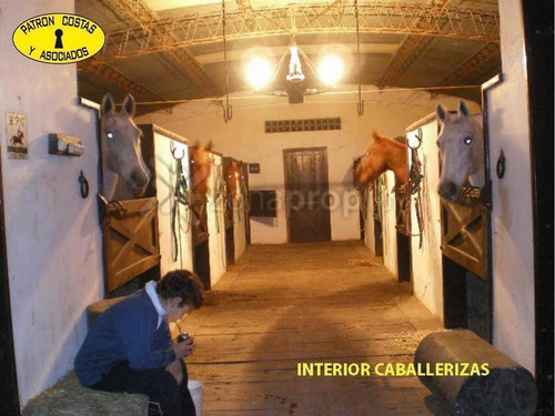 Imagen 6 de 14 de Rivadavia 800 - Open Door - Luján