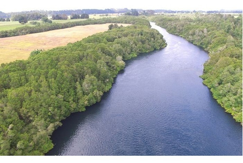 Parcela A Orilla De Río Maullín