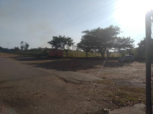 Fany Villasmil Vende Terreno En Cojedes Sector Cascabel
