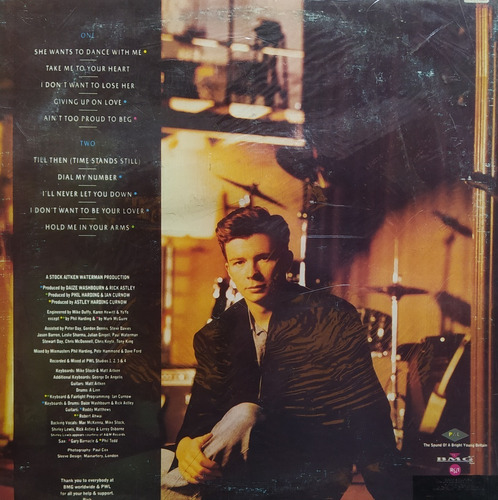 Rick Astley Hold Me In Your Arms Vinil