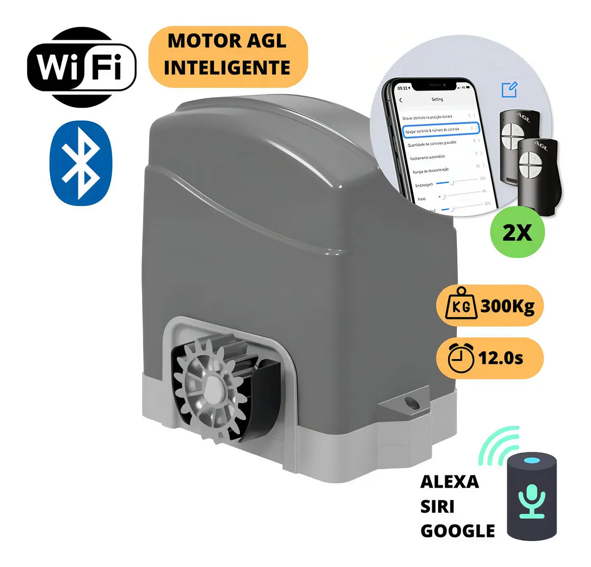 Motor do portão AGL DZ IZZY 300 50Hz/60Hz cor cinza/preto