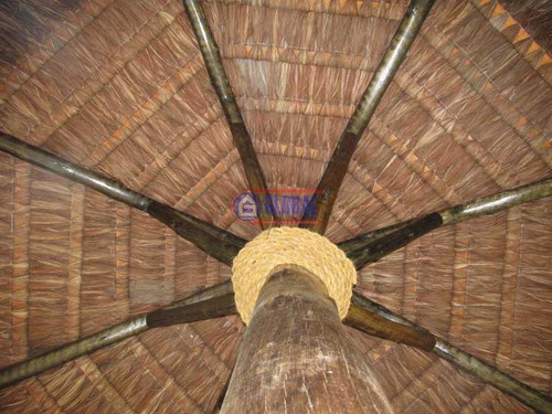 Imagem 8 de 15 de Sítio-à Venda-cajueiros (itaipuaçu)-maricá - Masi40006