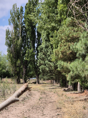 Campo Tupungato La Carrera Mendoza