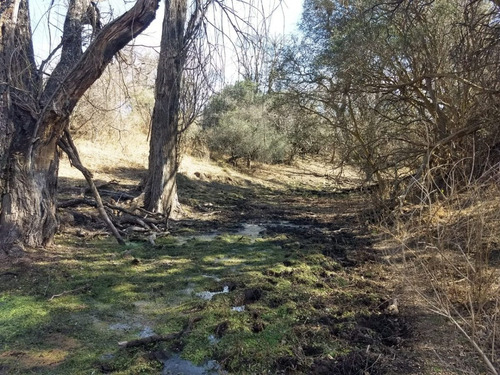 Imagen 13 de 17 de Campo De 100 Hectareas Con Casa En Tulumba, Provincia De Cordoba