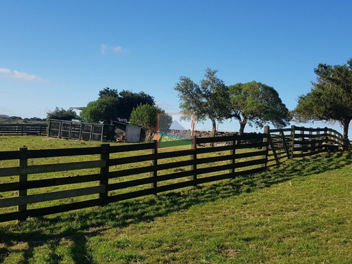 Imagen 4 de 14 de Campo En Carapé Maldonado, 267 Hás Con Casa