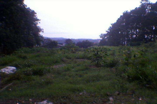 Imagem 3 de 4 de Terreno, Chácara Do Solar I (fazendinha), Santana De Parnaíba - R$ 6 Mi, Cod: 1101 - V1101