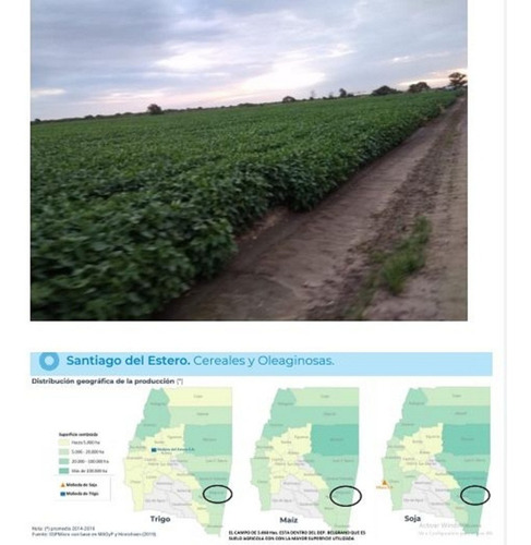 Imagen 5 de 7 de Se Vende Campo Mixto De 5060 Has En Bandera,santiago Del Estero
