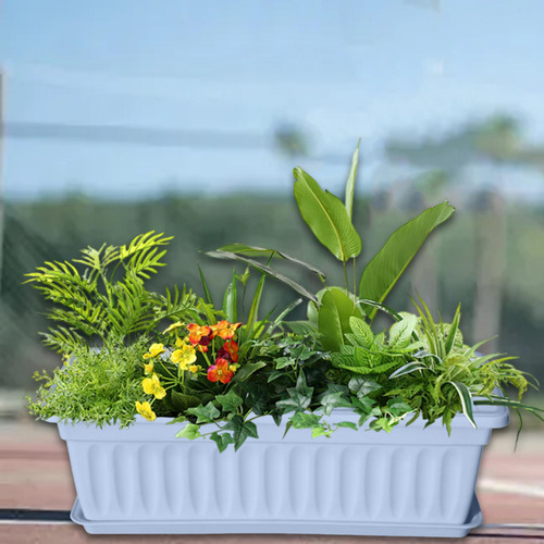 Caja De Ventanas Sembradora Flower Pinkling Nursery Azul