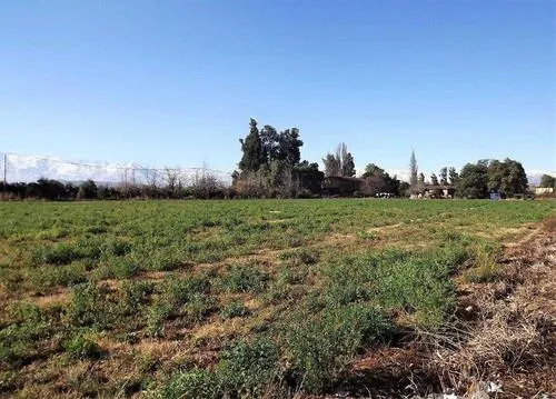 Sitio En Venta En San Felipe