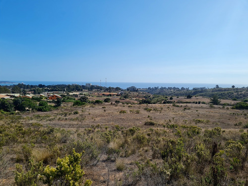 Imagen 9 de 25 de Parcelas De 5.000 Con/sin Vista Mar En Condominio Algarrobo