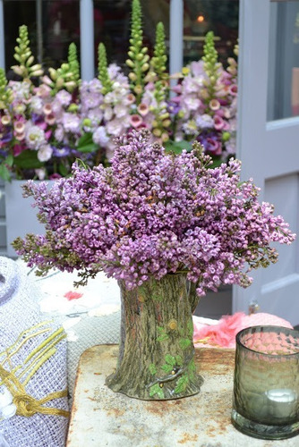 200 Semillas De Flor De Nube Morado