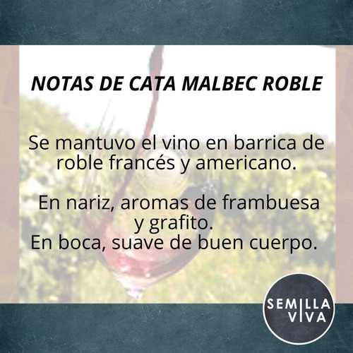 Imagen 2 de 10 de Vino Orgánico Malbec Roble Familia Cecchin 6 X 750 Cc