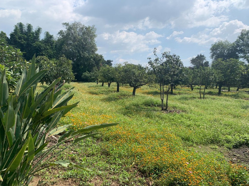 Rancho En Venta En Xochitlán Morelos