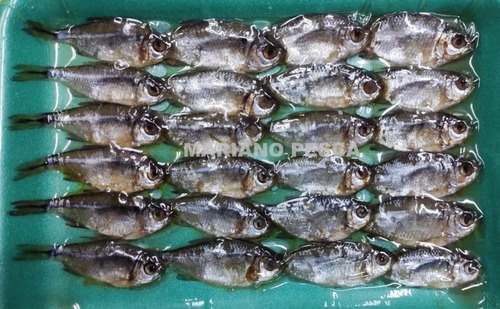 Carnada Mojarra Pejerrey Variada Rio Mar No Vence !!!