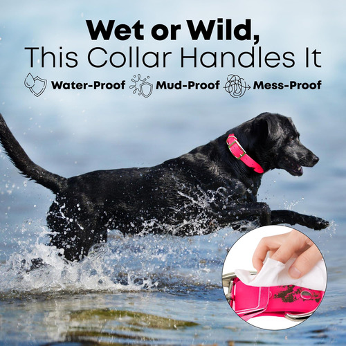 Regal Dog Products Collar Para Perro Grande Rosa Con Doble H