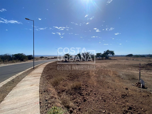 Inigualable Plusvalía A 6 Kms De Concón