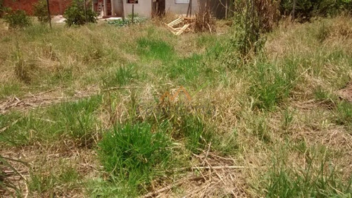 Imagem 2 de 4 de Terreno Em Parque Dos Eucaliptos, Mogi Guaçu/sp De 500m² À Venda Por R$ 95.000,00 - Te1033185