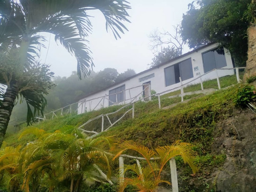 Imagen 12 de 14 de Casa Urb Club Hípico Los Teques