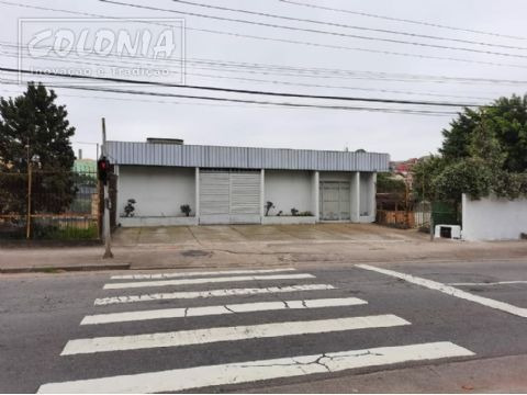 Imagem 16 de 17 de Terreno Para Locação - 4427405
