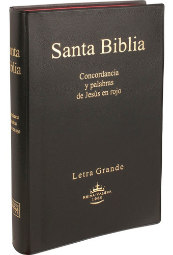 Biblia Reina Valera 1960 Letra Grande Concordancia