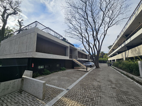 Departamento En Punta Chica