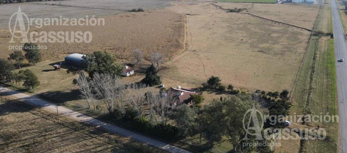 Imagen 17 de 17 de Chacra - Carmen De Areco