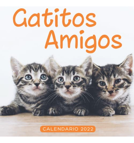 Gatitos Amigos Calendario 2022: Calendario 12 Meses 2022 - 8