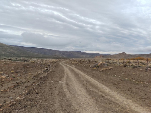 Imagen 6 de 14 de Campo En Venta - Espinazo Del Zorro - Aluminé