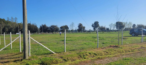 Parcela Cam A Coihueco Km17 Orilla Pavimento (99161)