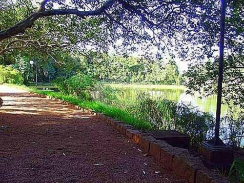 Imagem 8 de 9 de Terreno À Venda Em Barão Geraldo - Te185382