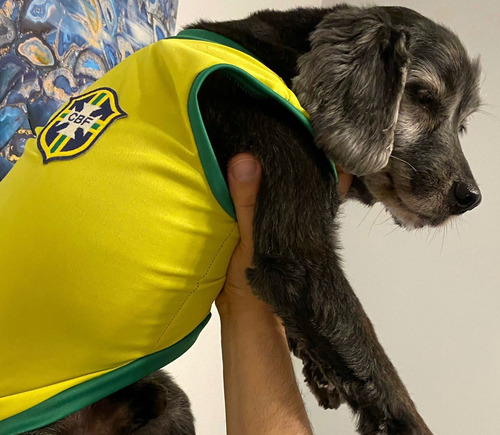 Camiseta De Brasil Para Perros Y Gatos Talle S