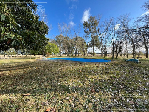 Imagen 12 de 26 de 100 Has En Punta Indio - Excelente Acceso - Ideal Haras!