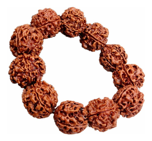 20 Mm Rudraksha Beads Amuleto De Budismo Hindú Orar Charms