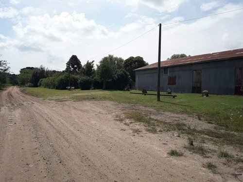 Imagen 11 de 30 de Chacra En Venta - Tandil