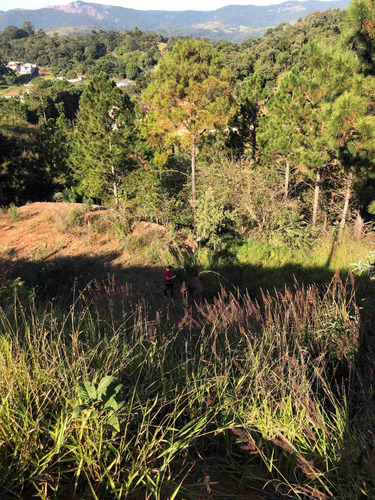 Imagem 1 de 7 de Terreno Em Declive - Linda Vista - Atibaia