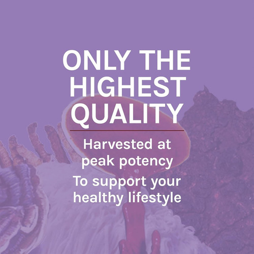 Host Defense Extracto Melena De León Claridad Mental 2oz