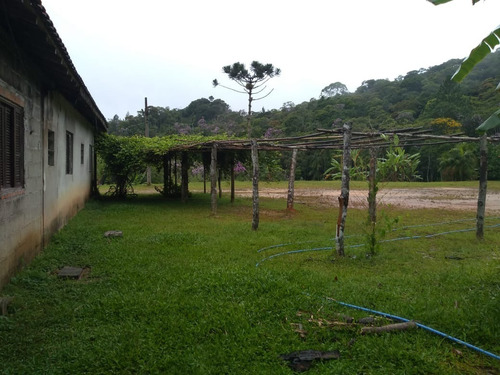 Imagem 11 de 19 de Sítio À Venda Em Miracatu Com Ampla Área Aberta Aproveitável! - 416 - 33675526