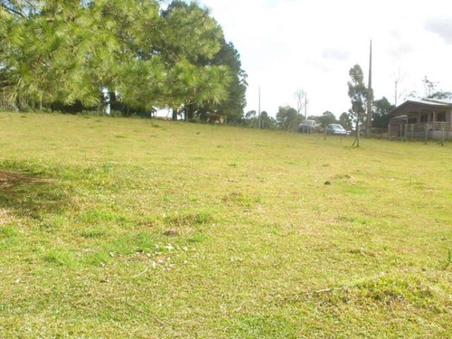 Imagem 4 de 5 de Terreno - Apanhador - Ref: 4810 - V-4810