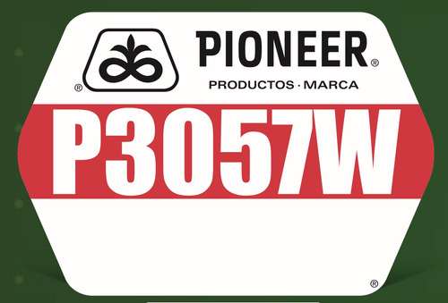 Pioneer P3057w Semilla Maiz Hibrida Blanco Corteva