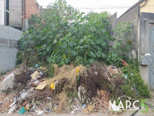 Imagem 2 de 9 de Terreno - Jardim Do Vale - 1854