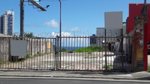Imagem 3 de 6 de Terreno Com 588m2 Na Federação - Sfl306 - 34887444