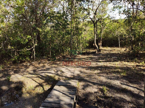 Imagem 16 de 21 de Chácara À Venda, 58612 M² Por R$ 650.000,00 - Zona Rural - Agudos/sp - Ch0154