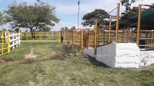 Imagen 9 de 16 de Finca Ganadera Doble Propósito Santo Domingo