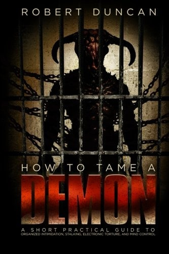 How To Tame A Demon A Short Practical Guide To Organized Int