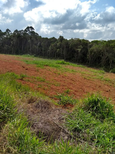 Imagem 2 de 11 de Terreno Lote Loteamento Fundo Para Área Preservada 6x25 Com 150,00 Metros Mensais De R$ 783,33 E Área De Lazer Cotia Sp